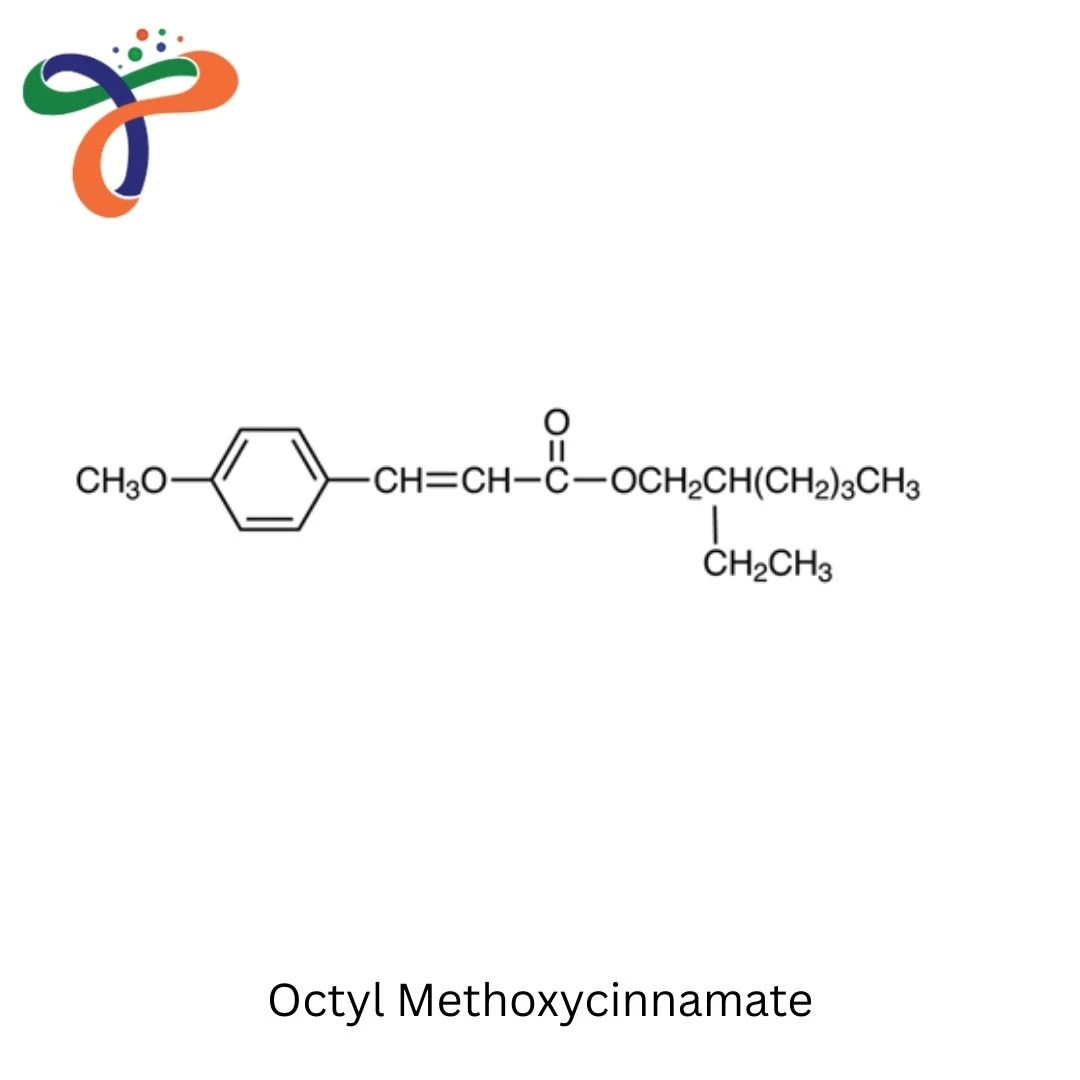 Octyl Methoxycinnamate